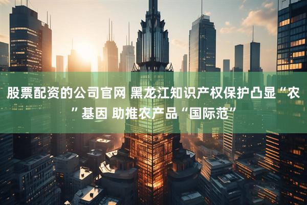 股票配资的公司官网 黑龙江知识产权保护凸显“农”基因 助推农产品“国际范”
