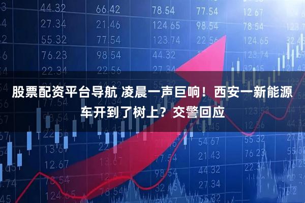 股票配资平台导航 凌晨一声巨响！西安一新能源车开到了树上？交警回应