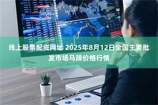 线上股票配资网址 2025年8月12日全国主要批发市场马蹄价格行情